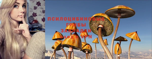 PSILOCYBIN Володарск